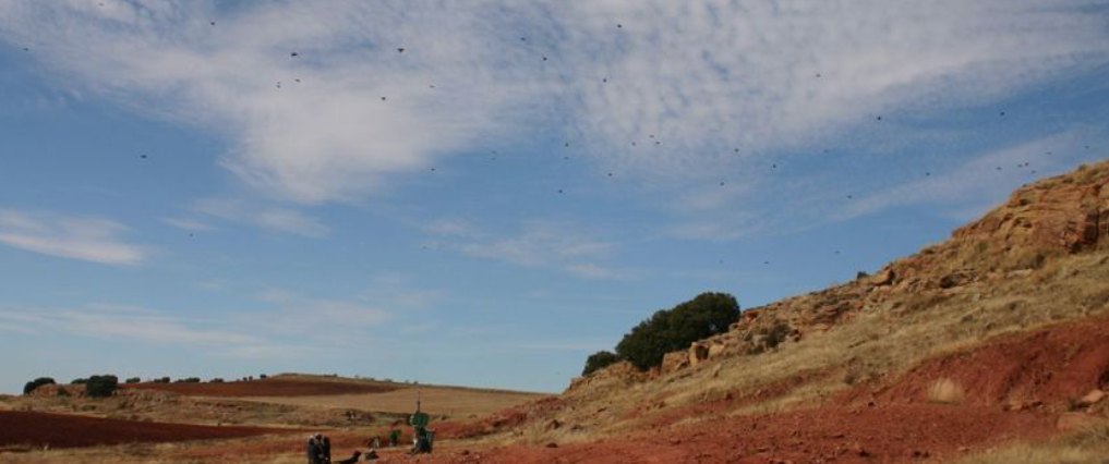 Birds in flight over red earth and dry grassland at El Crespo, guns at their pegs below a rocky outcrop