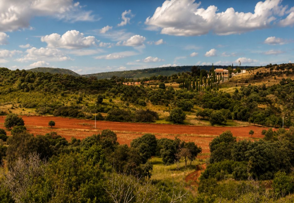 Red ploughed fields and holm oak pasture at El Despenadero, a white farmhouse on the ridge beyond