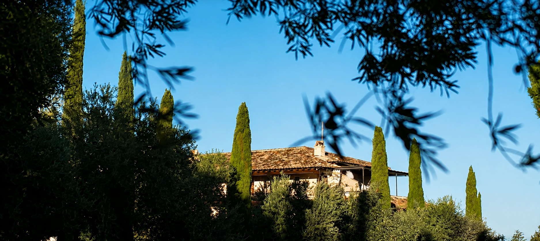 The tiled roof of the finca at El Despenadero and a row of cypresses, seen through pine branches