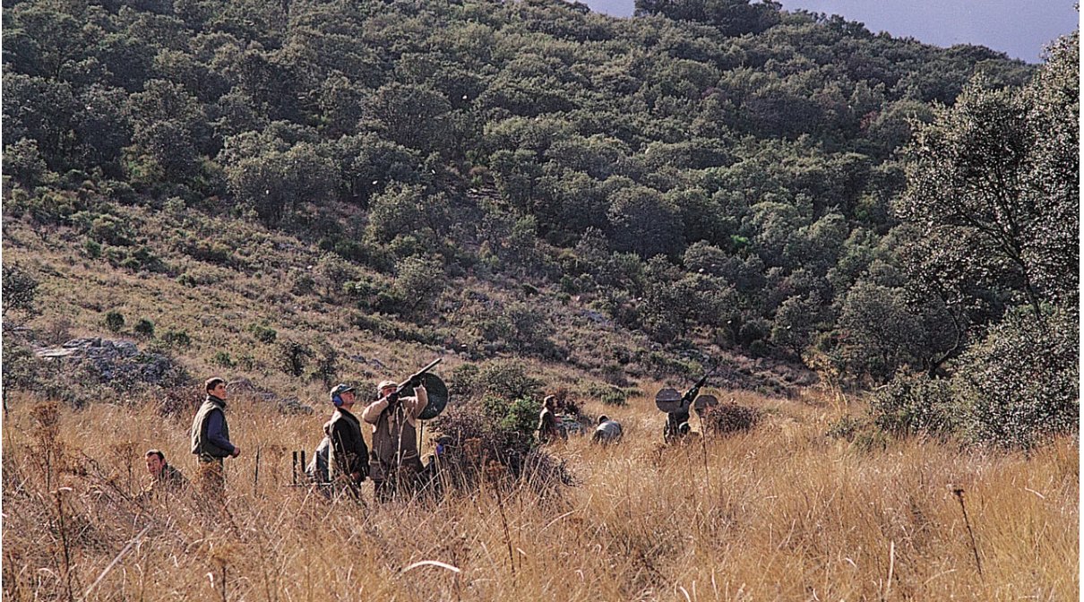 Guns standing at their pegs on a grassy slope at La Nava, below densely wooded hillside