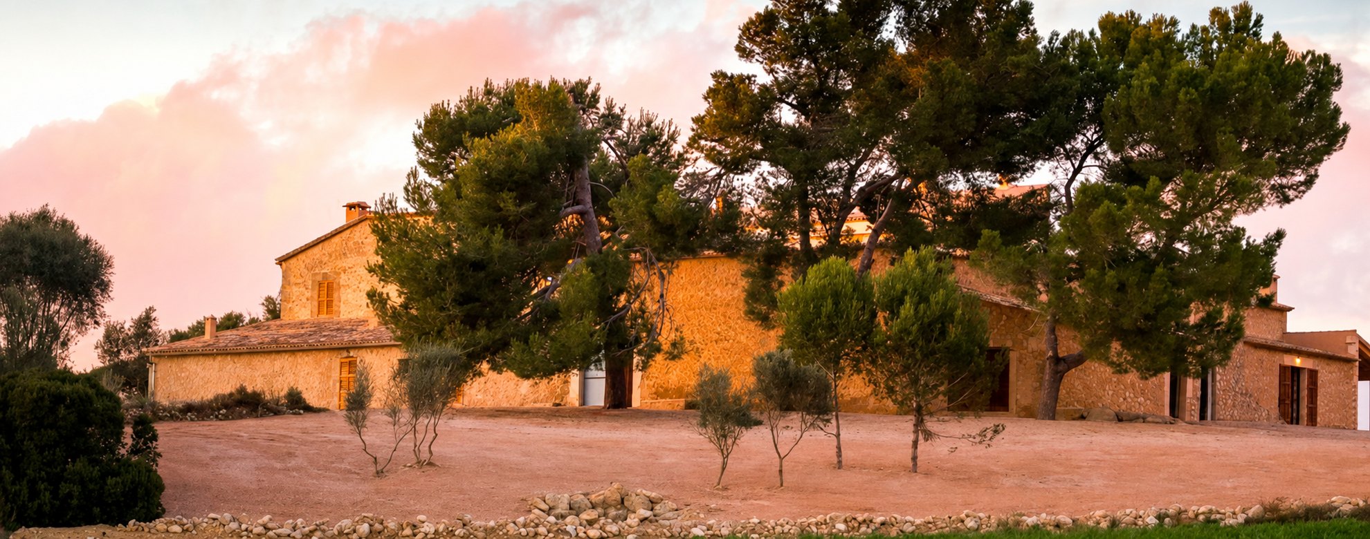 The stone finca at Las Barracas among mature pines and young olive trees at sunset
