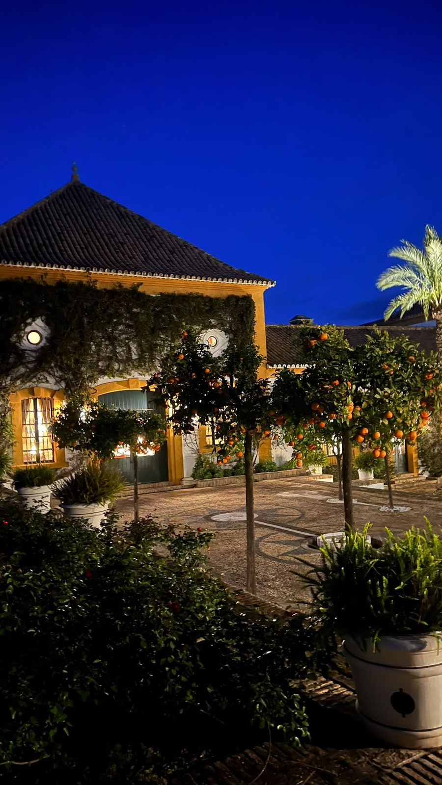 Evening at the Los Melonares hacienda during the Spanish partridge season