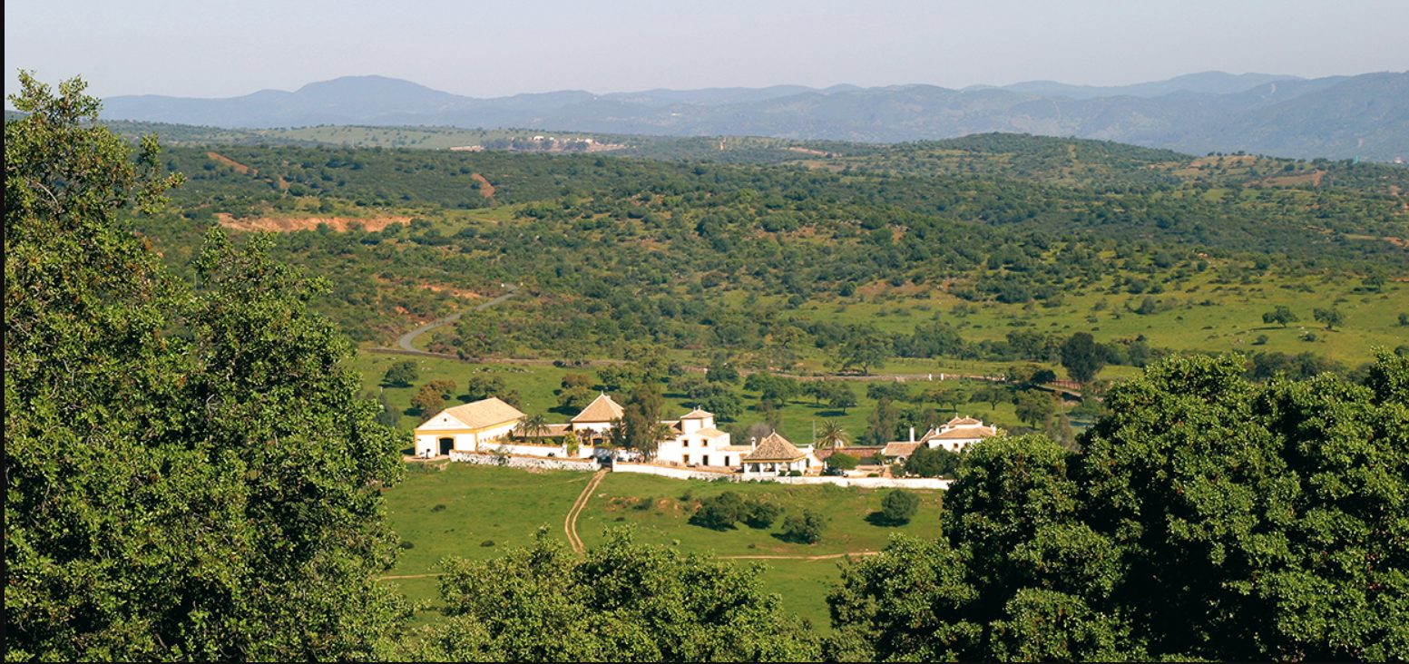 The hacienda at Los Melonares set in dehesa of holm oak, Sierra Norte de Sevilla behind